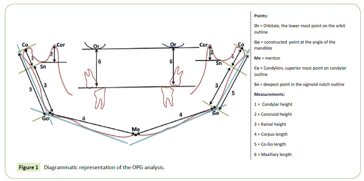 jbiomeds-OPG-analysis